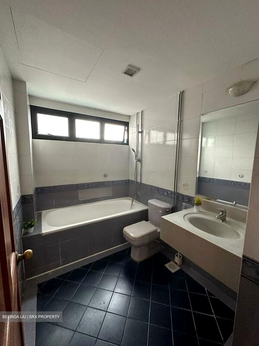 Chiltern Park (D19), Condominium #463151861